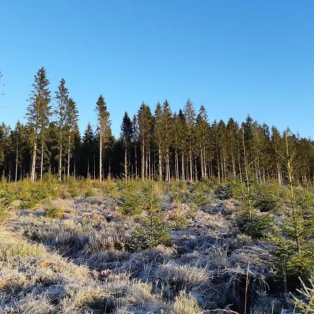 公寓 La Maison Des Senteurs 弗朗科尔尚