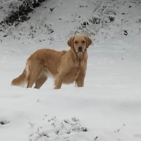 La Maison Des Senteurs 프란코르챰프스