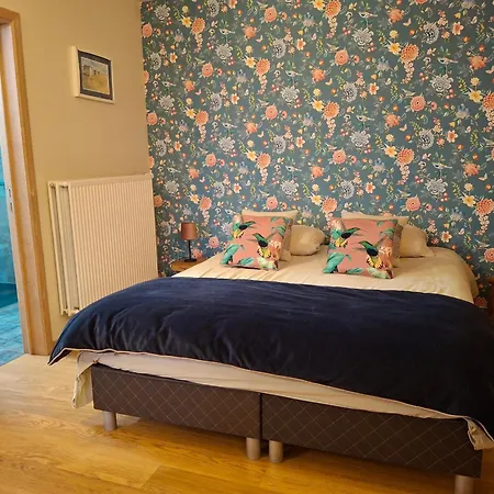 公寓 La Maison Des Senteurs 弗朗科尔尚