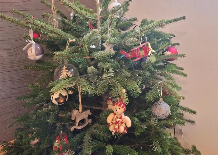 La Maison Des Senteurs Apartment *